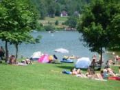 Omgeving