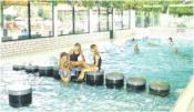PonyparkCity, Collendoorn