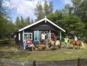 PonyparkCity, Collendoorn