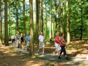 ECR Groot Stokkert, Wapenveld