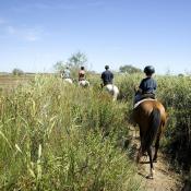 Vakantiepark Golden Lakes Village