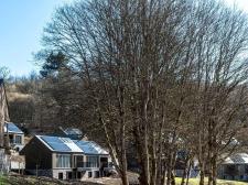 Anatura Ardenne