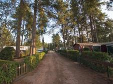 Arden Parks Tulderheyde