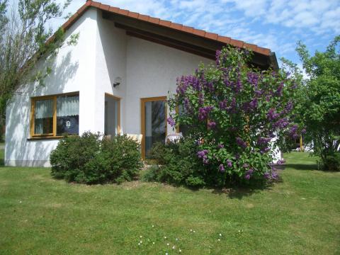 Bungalow Uslar