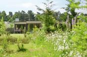 Bispinger Heide