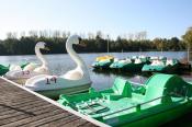 Bungalowpark Am Silbersee