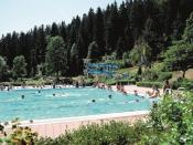 Vakantiepark Tennenbronn