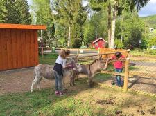 Bungalowpark Felsenhof