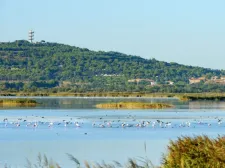 Vakantiepark Les Lauriers Roses