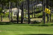 Villa's Atlantic Green