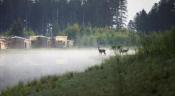 Center Parcs Le Bois aux Daims