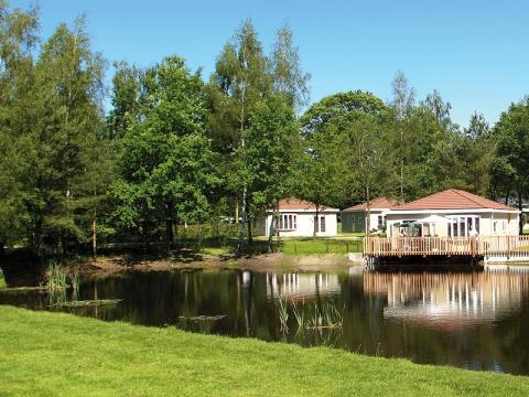 Chalet Rcn De Flaasbloem, Type Stuga