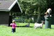 Bungalowpark Het Bosmeer