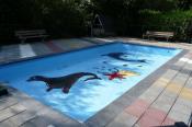 Bungalowpark Het Bosmeer