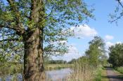 Bungalowpark Het Bosmeer