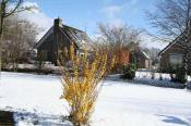 Bungalowpark Sallandshoeve