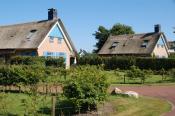 Kustpark Texel