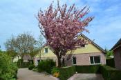 Bungalowpark De Riethorst