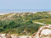 Landal Ameland State