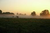 Hof van Salland
