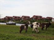 Waterpark Zwartkruis