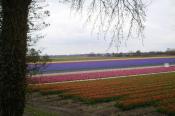 Vakantiepark Schoorlse Duinen