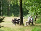 Attractie- en Vakantiepark Slagharen