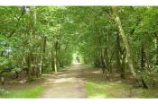 Recreatiepark De Stelhoeve