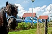Recreatiepark De Stelhoeve