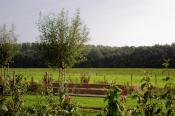 Recreatiepark De Stelhoeve