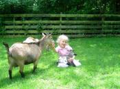 Vakantiepark 't Hooge Holt