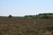 EuroParcs Bospark Reestervallei