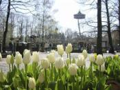 Efteling Bosrijk