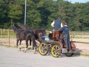 Horsetellerie Rheezerveen