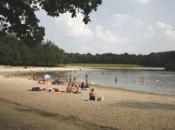 Horsetellerie Rheezerveen