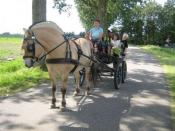 Holland Chalet Park Hensbroek
