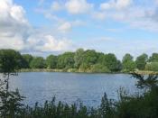 Holland Chalet Park Hensbroek