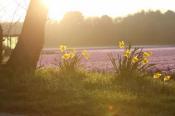 Vakantiepark Duinrust