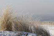 Vakantiepark Duinrust