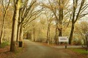 Chaletpark Boomans