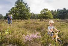 Landal Drentse Lagune