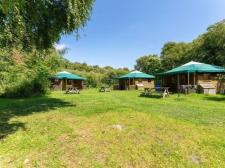 Duincamping de Lepelaar