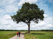 Landgoed De Huynen