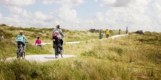Algemeen: Landal Ameland State