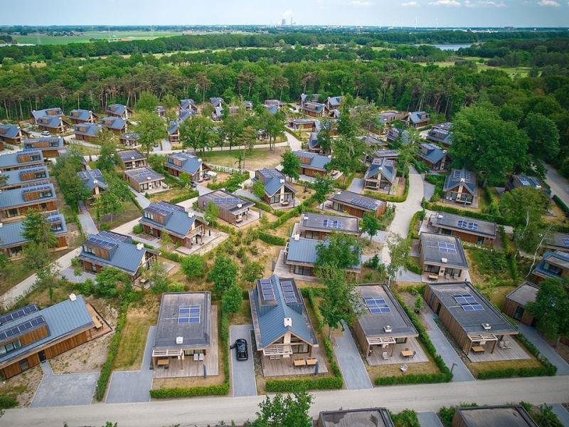 Algemeen: Bergvliet Villa's