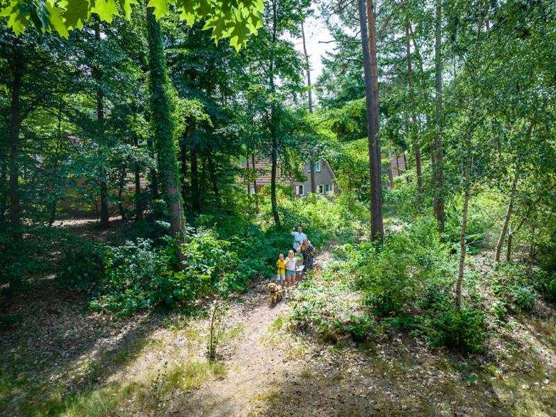 Video 1 Landal Landgoed 't Loo