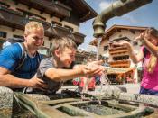 Landal Resort Maria Alm