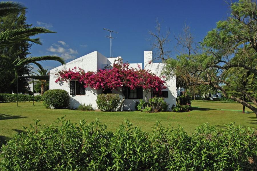 Appartement Pedras del Rei